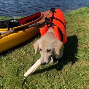 fido float life jacket